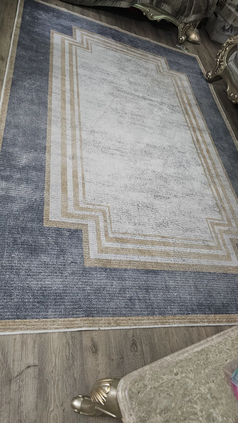 Area Rug - photo 4