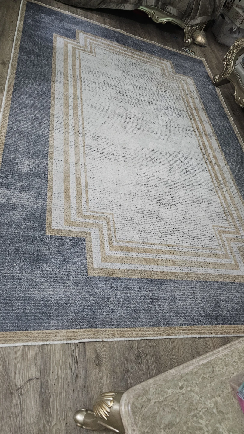 Area Rug - photo 5