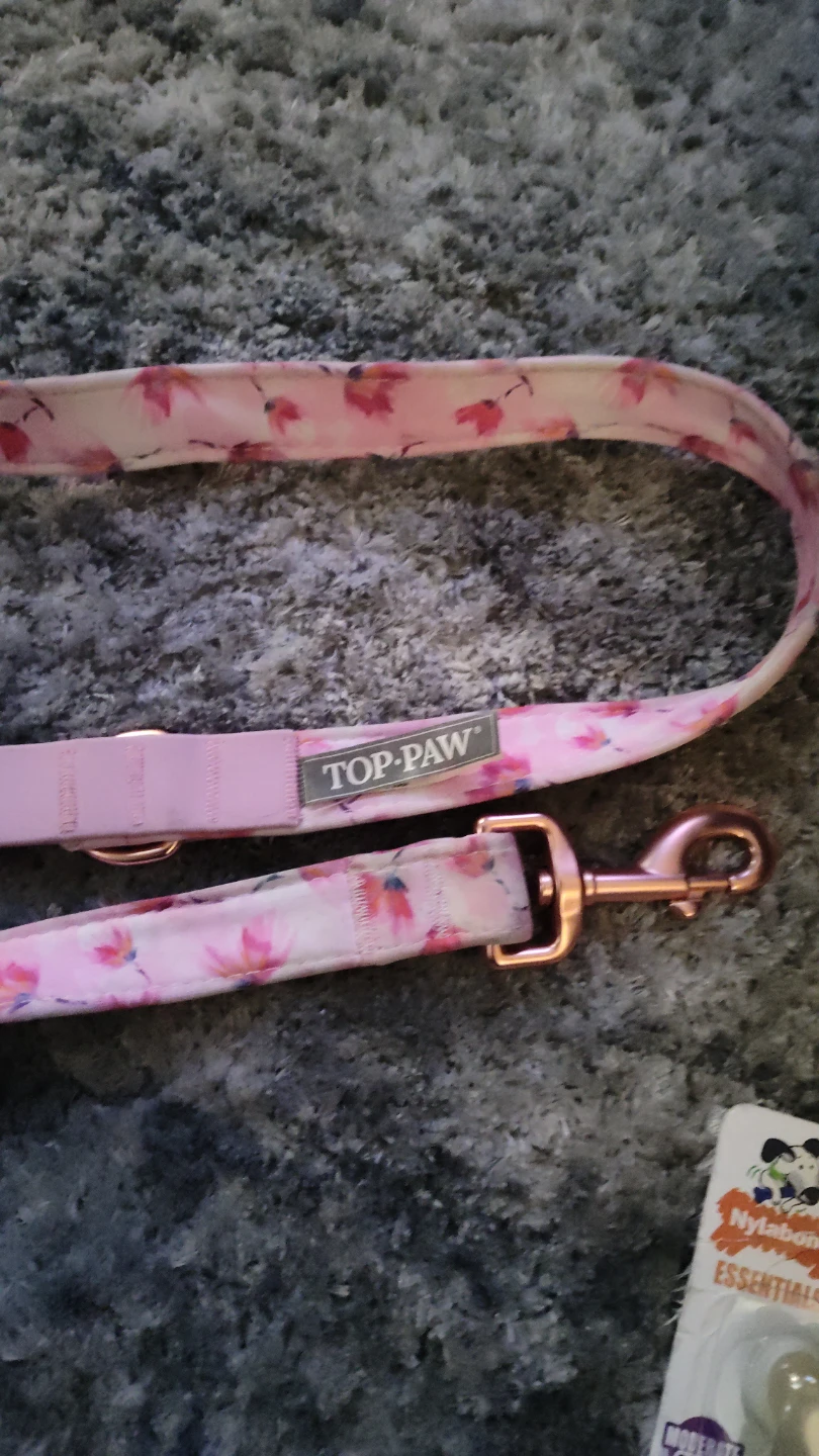 Top Paw Floral Dog Leash
