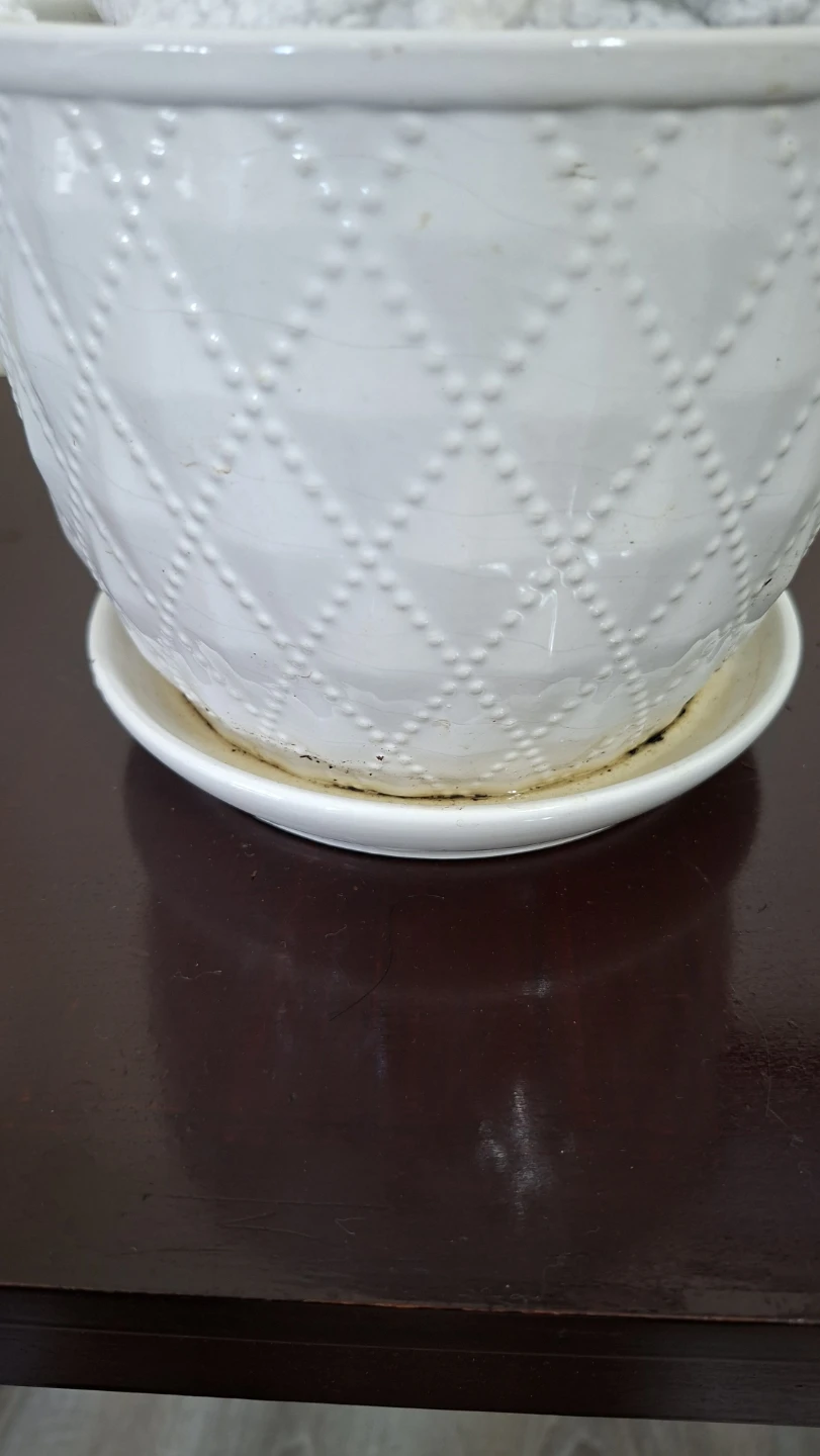 White Textured Ceramic Planter with Saucer - photo 2