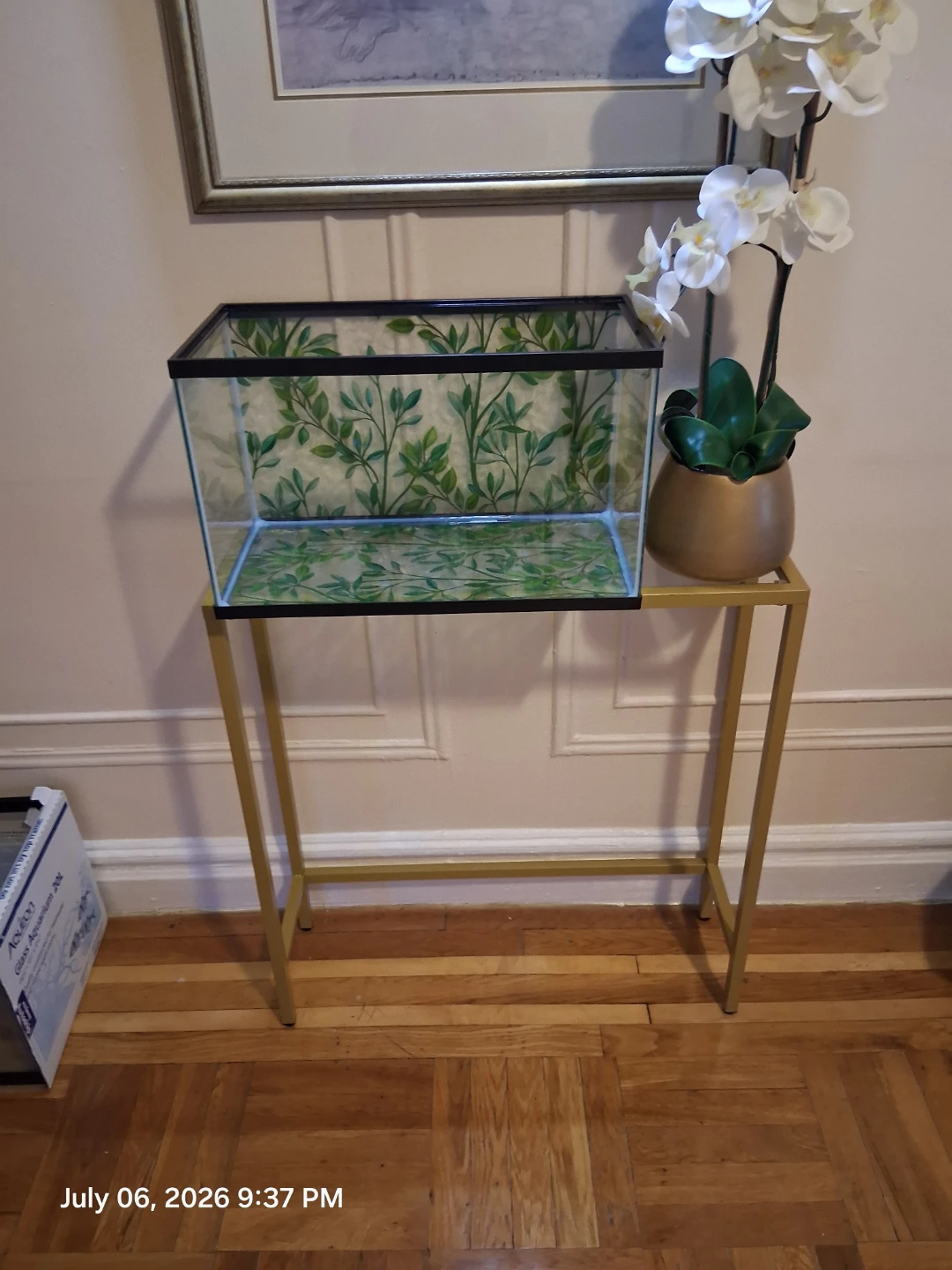 Aqueon Glass Aquarium 10 Gallon