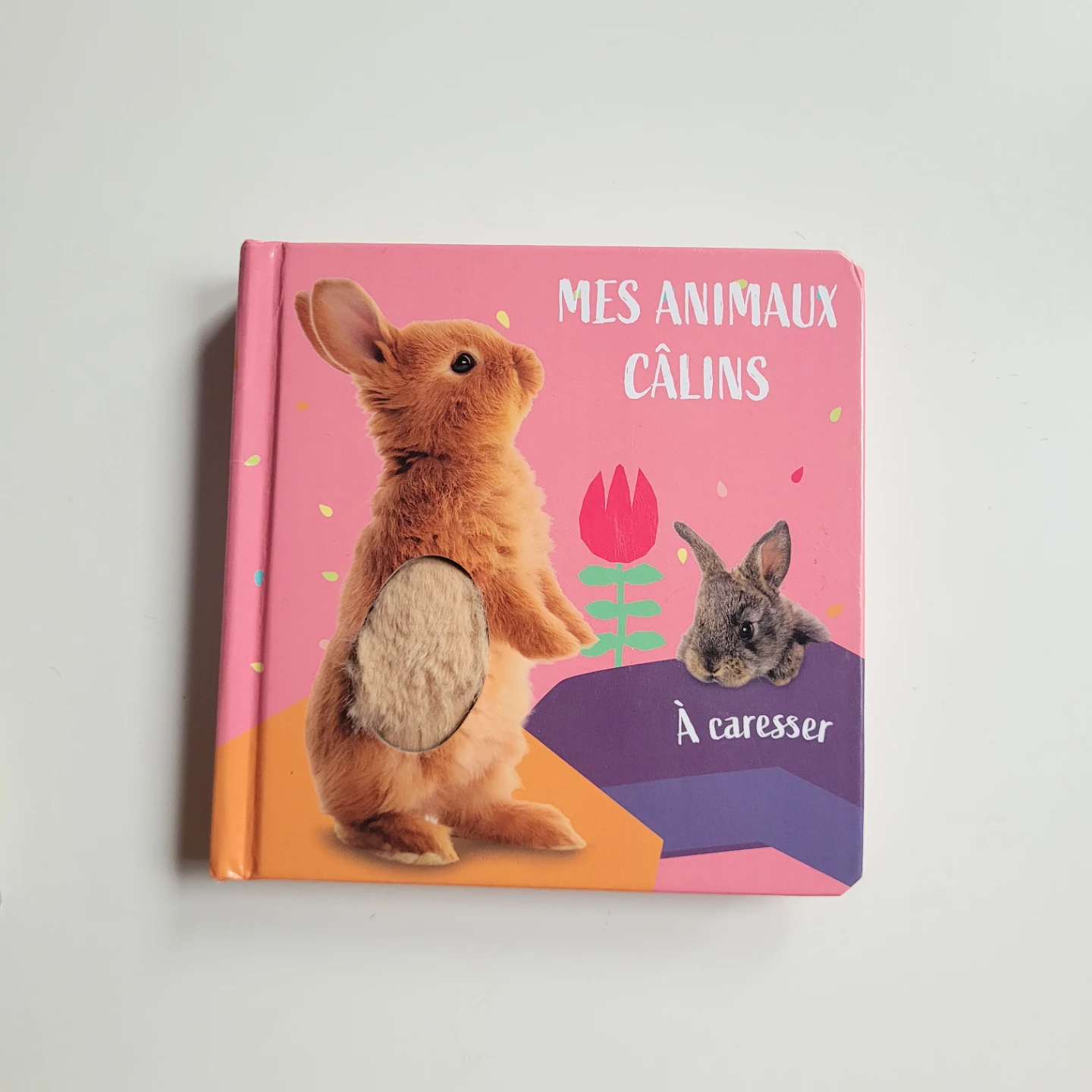 Mes Animaux Câlins Children's Board Book
