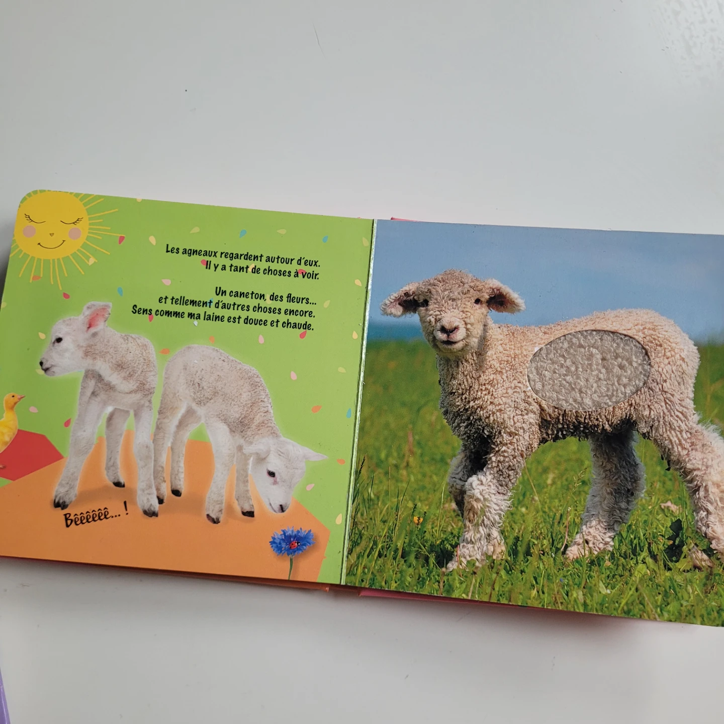 Mes Animaux Câlins Children's Board Book - photo 2