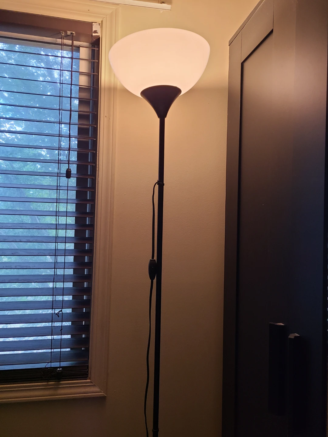 Black Standing Lamp with White Shade