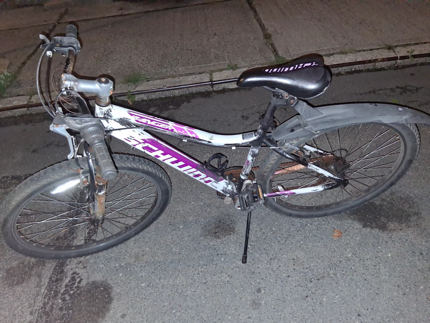 Schwinn Ranger Women's Bike