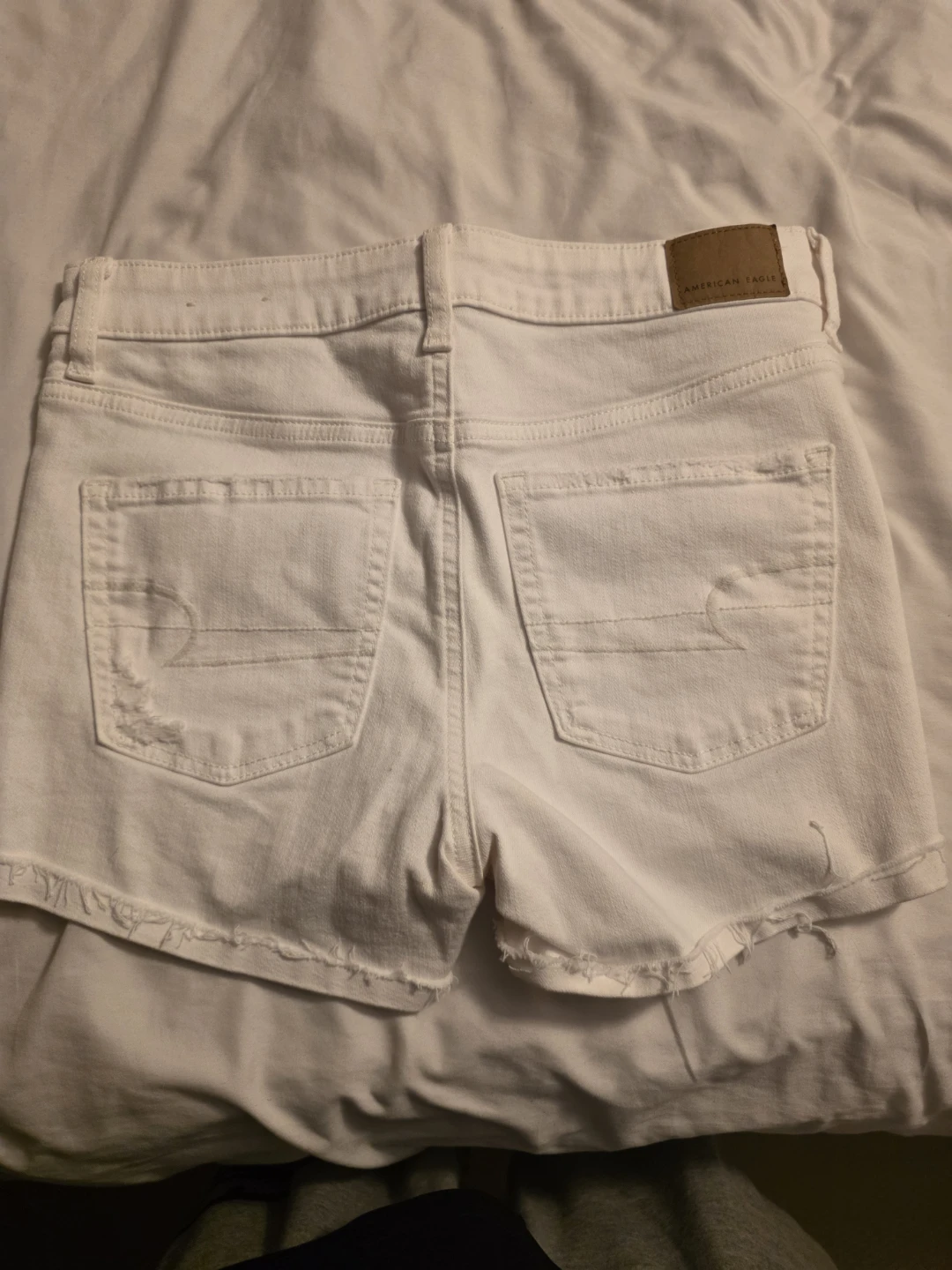 American eagle - photo 2