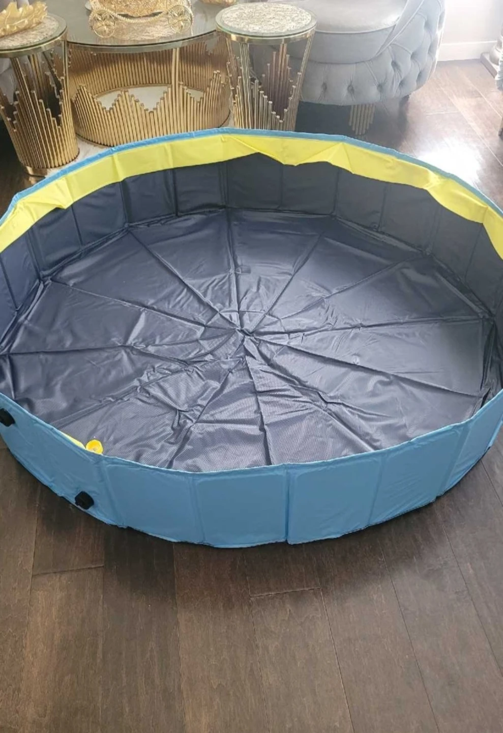 Foldable Splash Pool for Kids and Dogs - photo 2