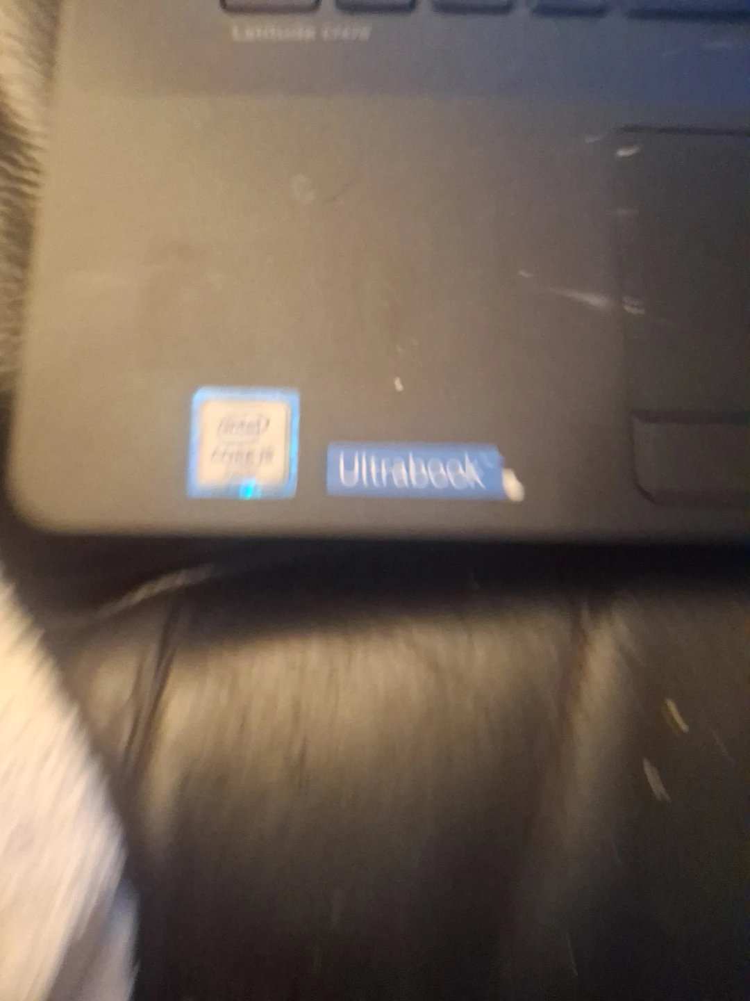 Dell Latitude E7470 Ultrabook - photo 3