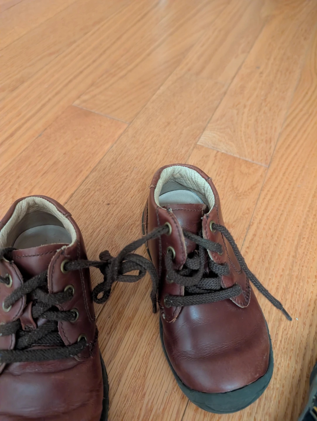 Bundle of Toddlers Shoes and Sandals size 6/6.5 (Euro 22) - photo 5