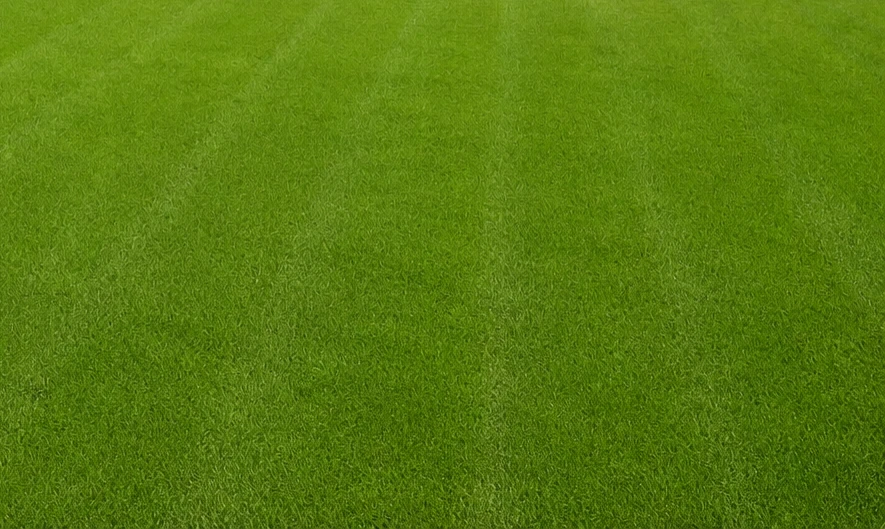 Lawn Care Services