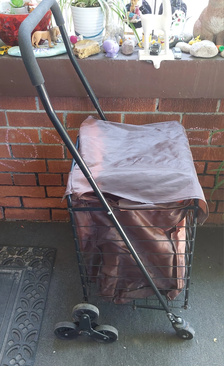 Shopping Cart with Wheels