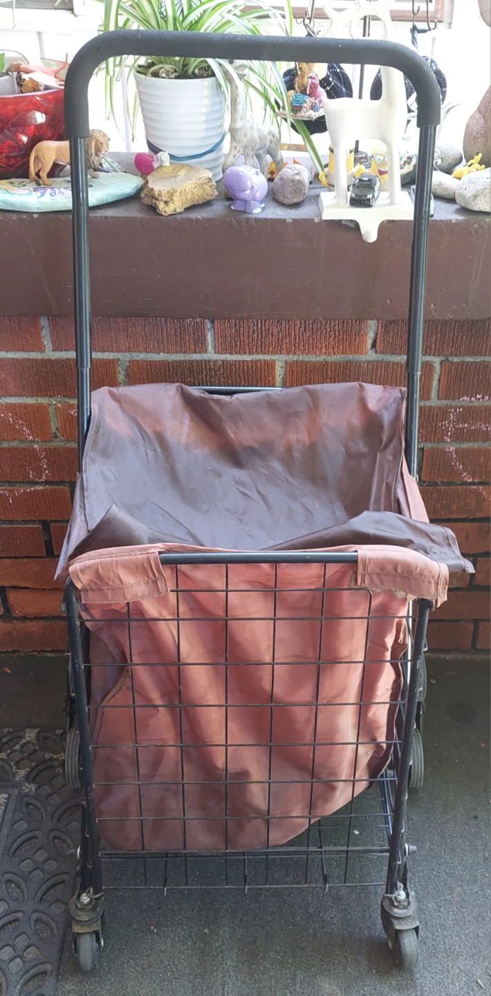Shopping Cart with Wheels - photo 3