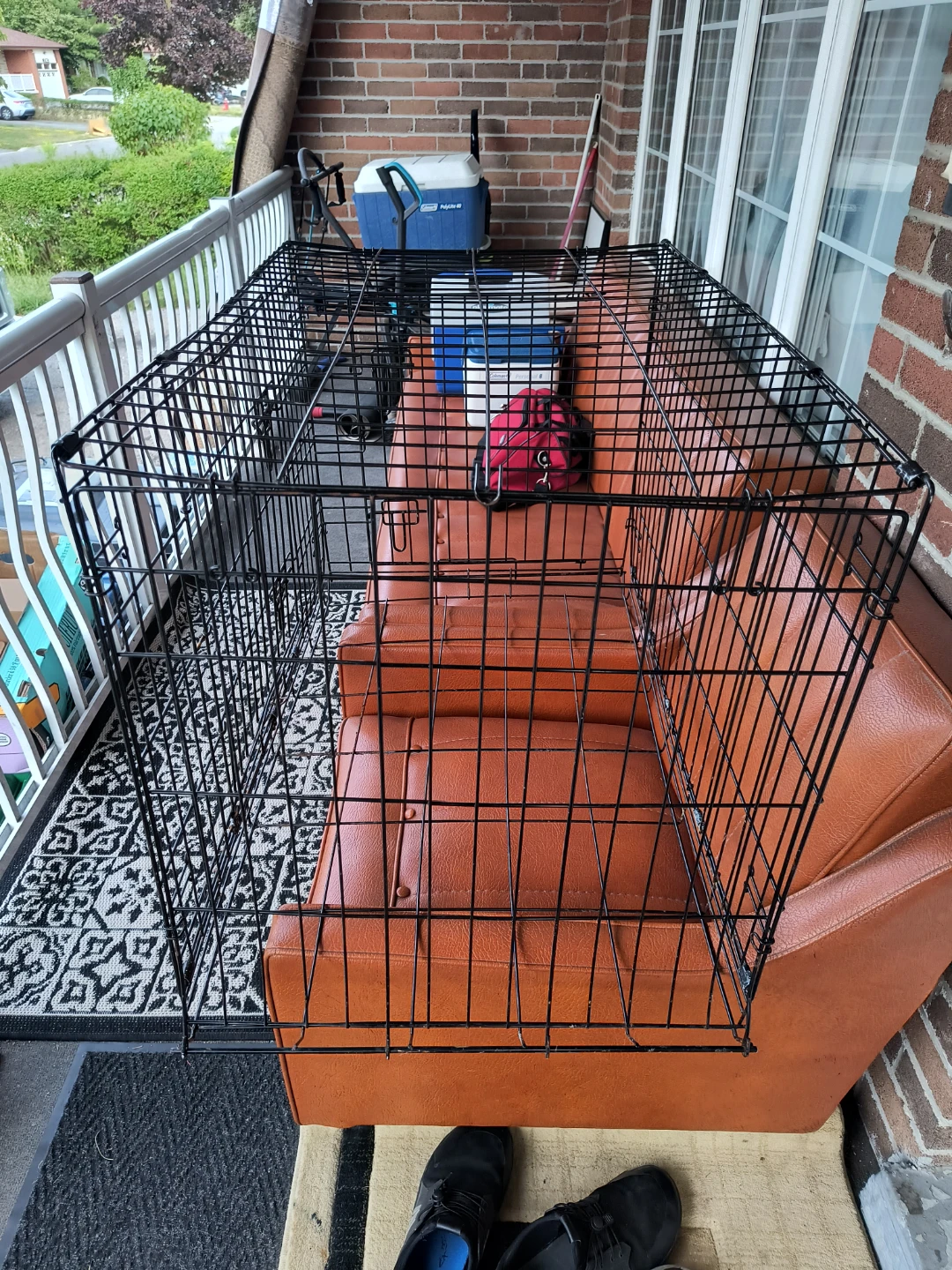 Wire Dog Crate - photo 3