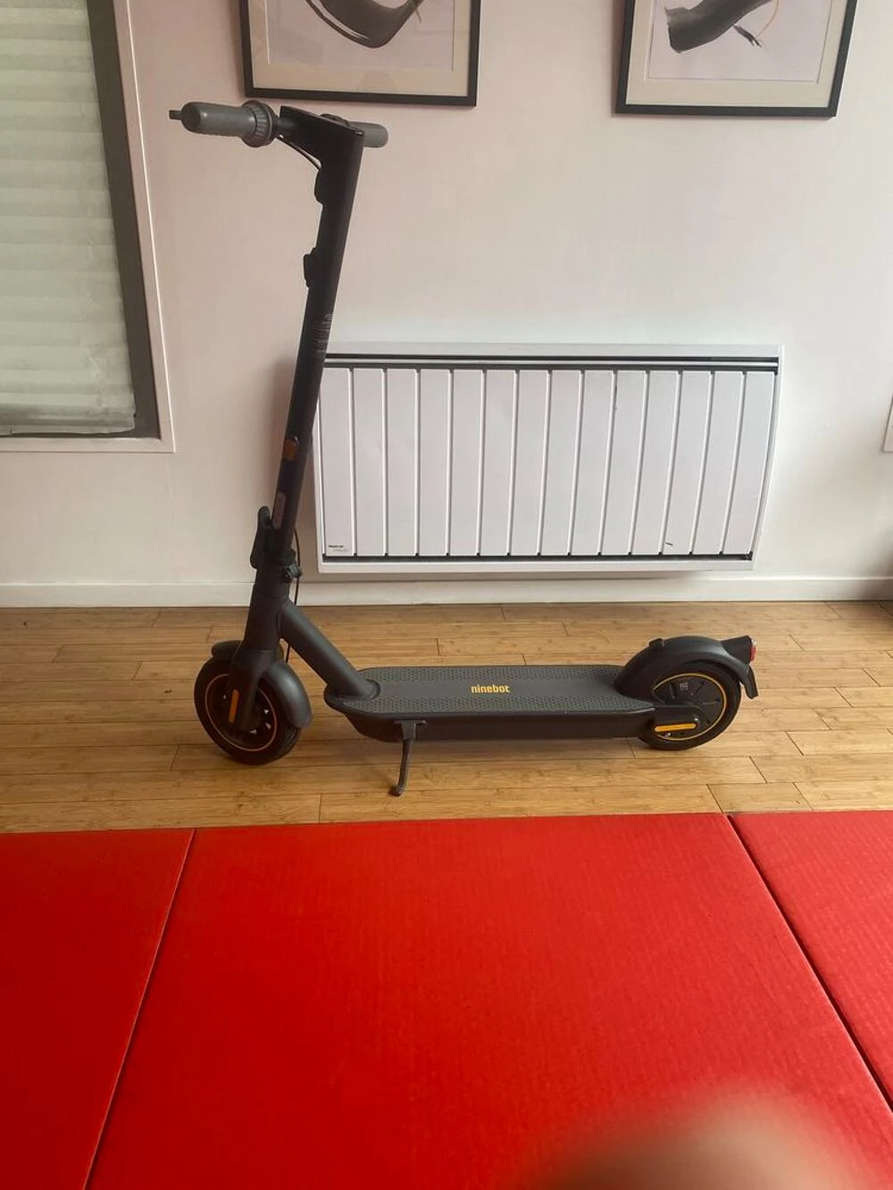 Ninebot Electric Scooter