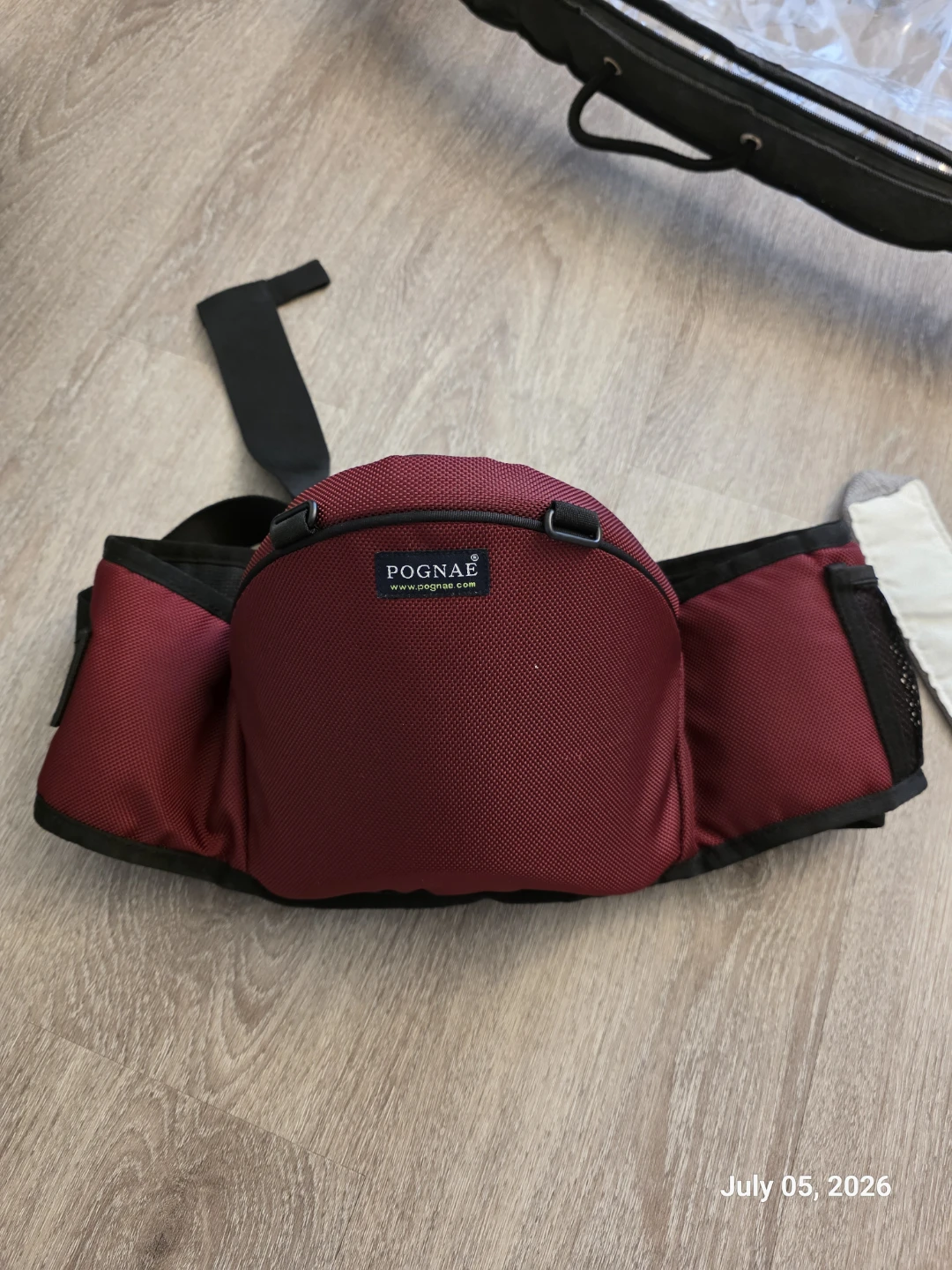 Pognae Baby Hip Seat Carrier