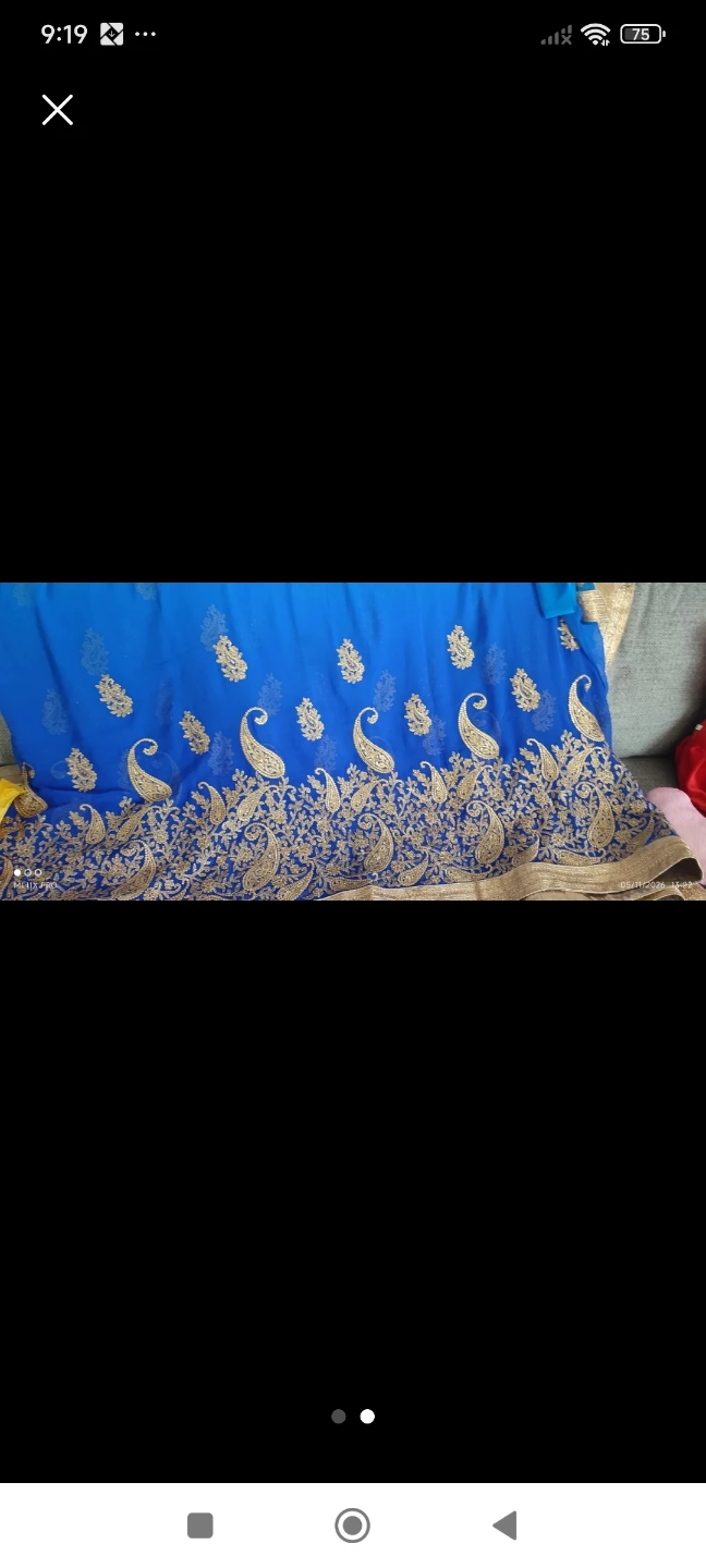 Blue Saree with Gold Embroidery