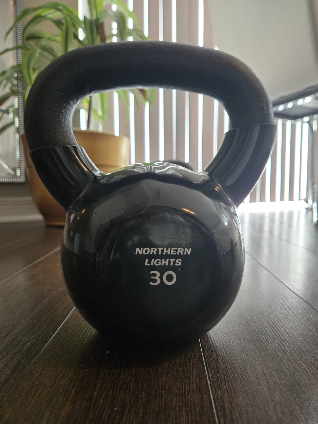 Northern Lights 30 lb Kettlebell
