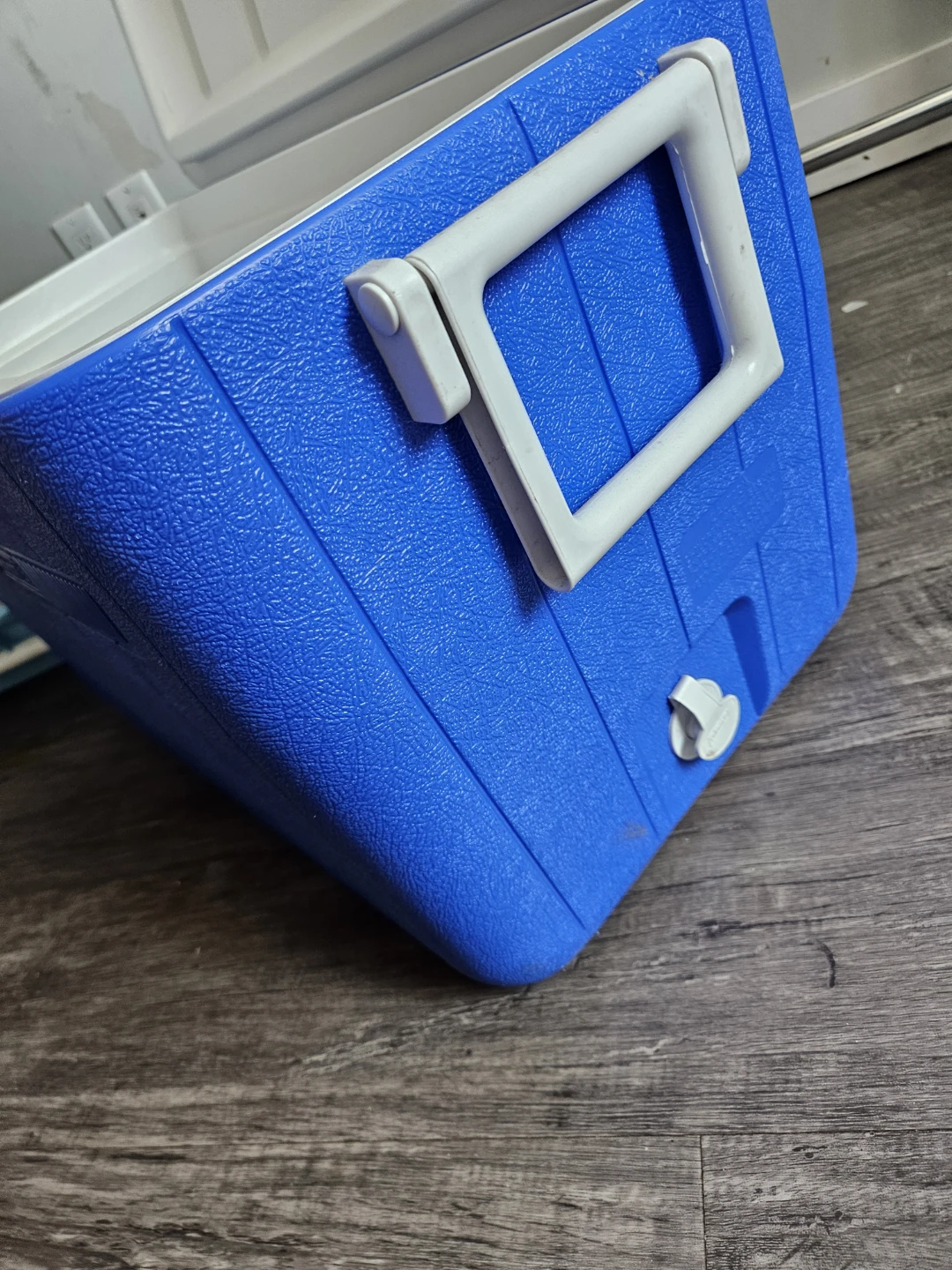 Coleman Cooler