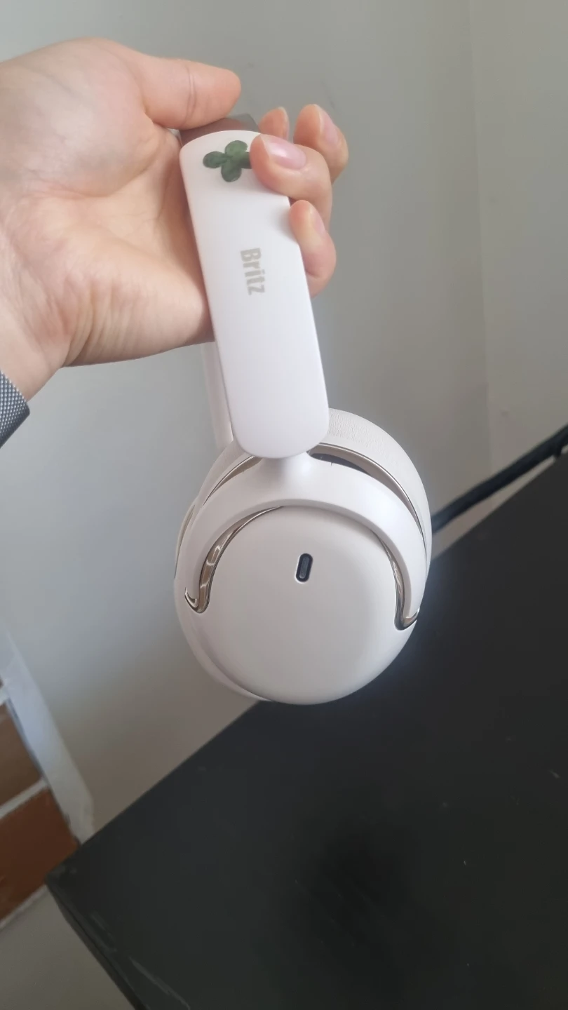 OverCap Earbuds