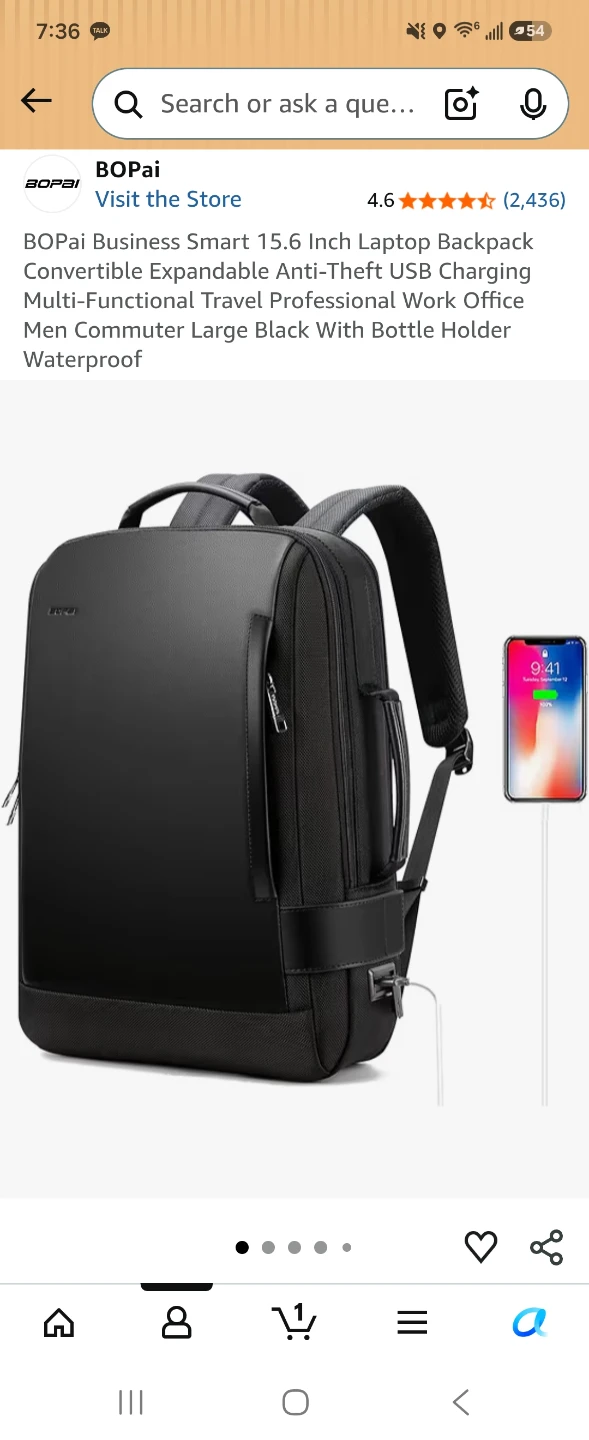 Bopai Business Laptop Backpack