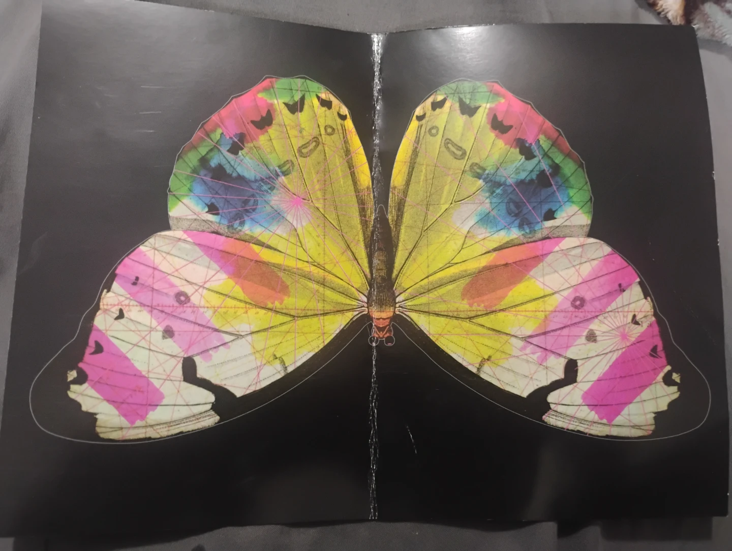 Puzzle - photo 2