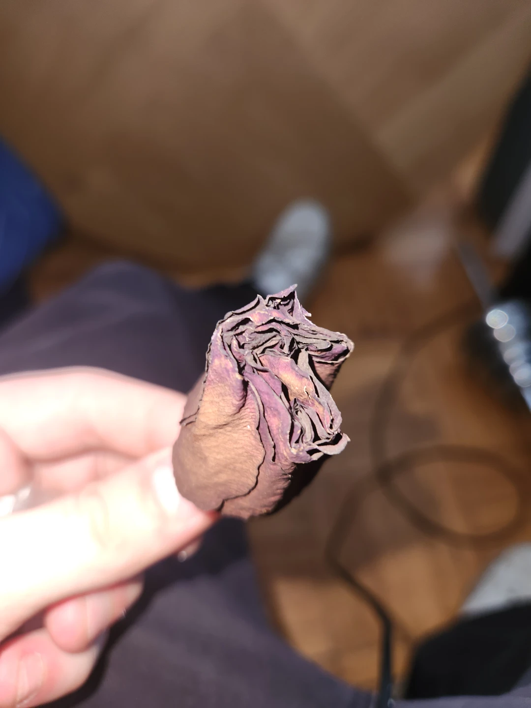 Dried Magick Rose Bud