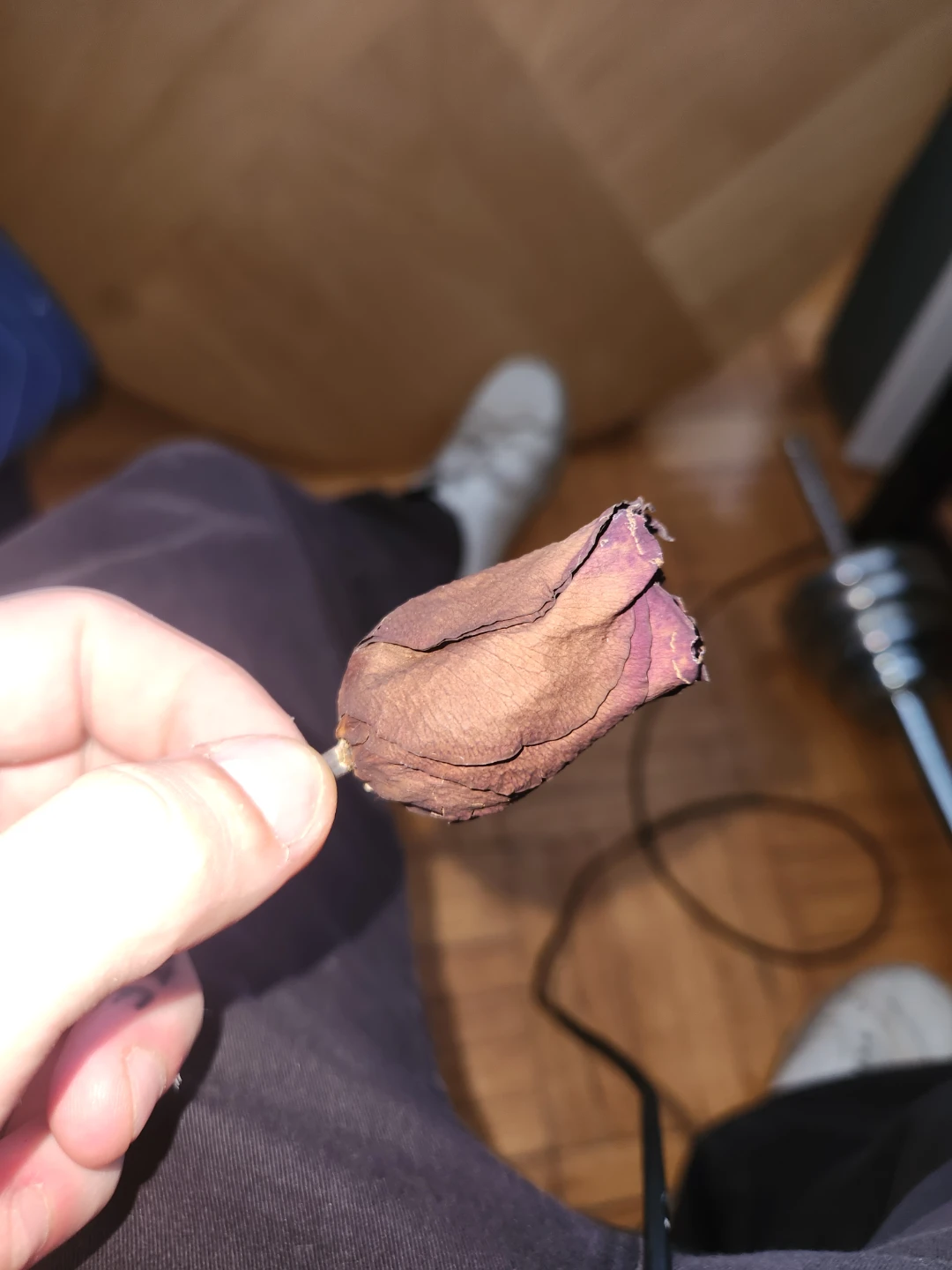 Dried Magick Rose Bud - photo 2