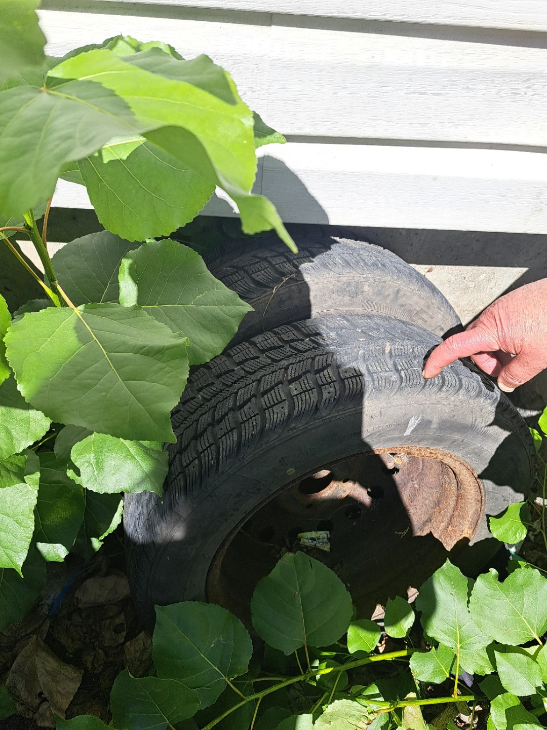 Arctic Winter Tires on Rims 6 tires - photo 2