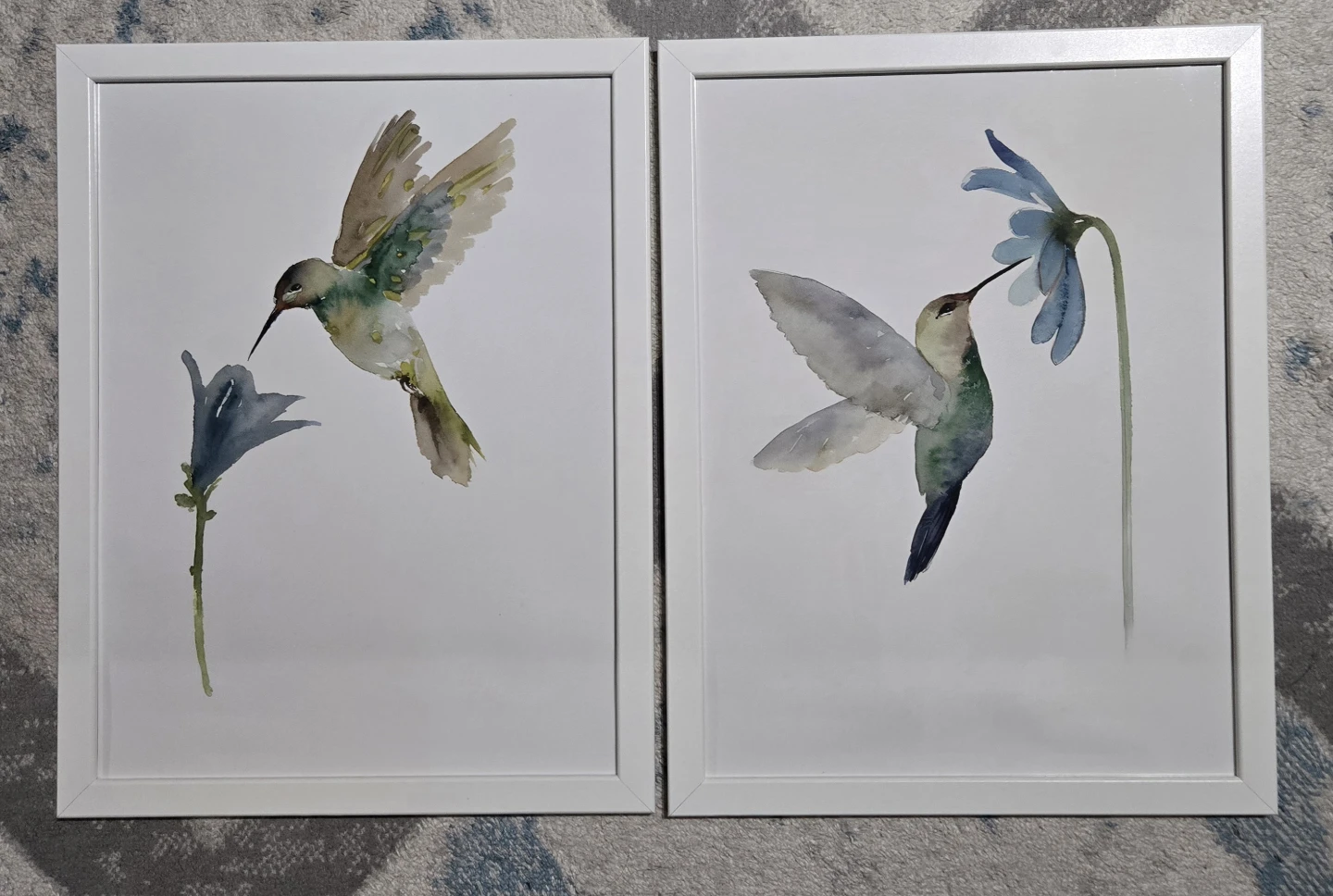 Set of 2 Framed Hummingbird Watercolour Art Prints