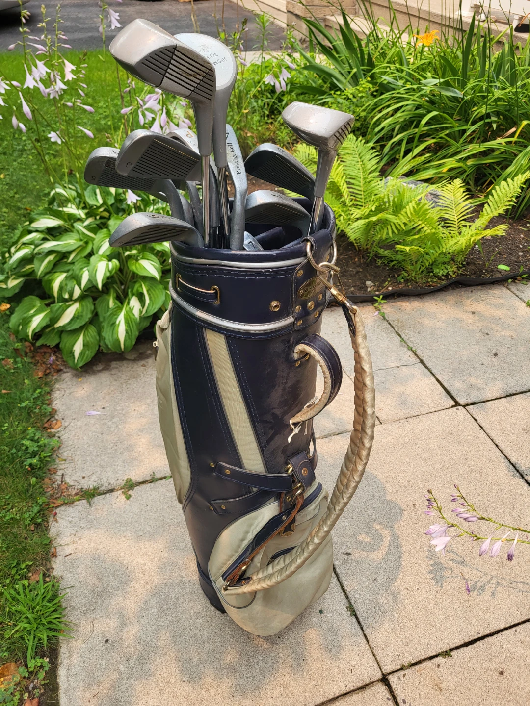 Ladies Cat Prestige Left Golf Club Set with Bag