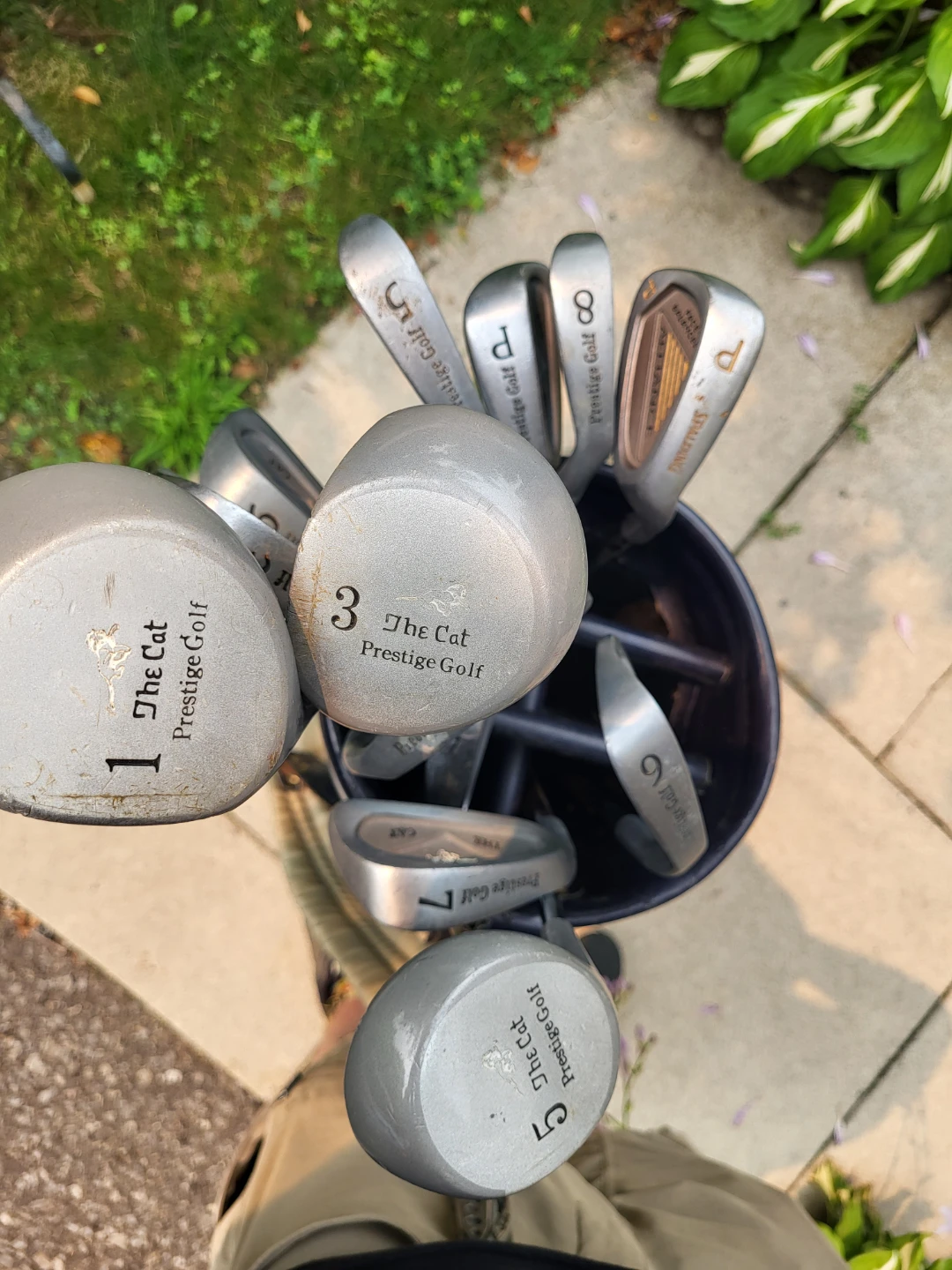 Ladies Cat Prestige Left Golf Club Set with Bag - photo 2