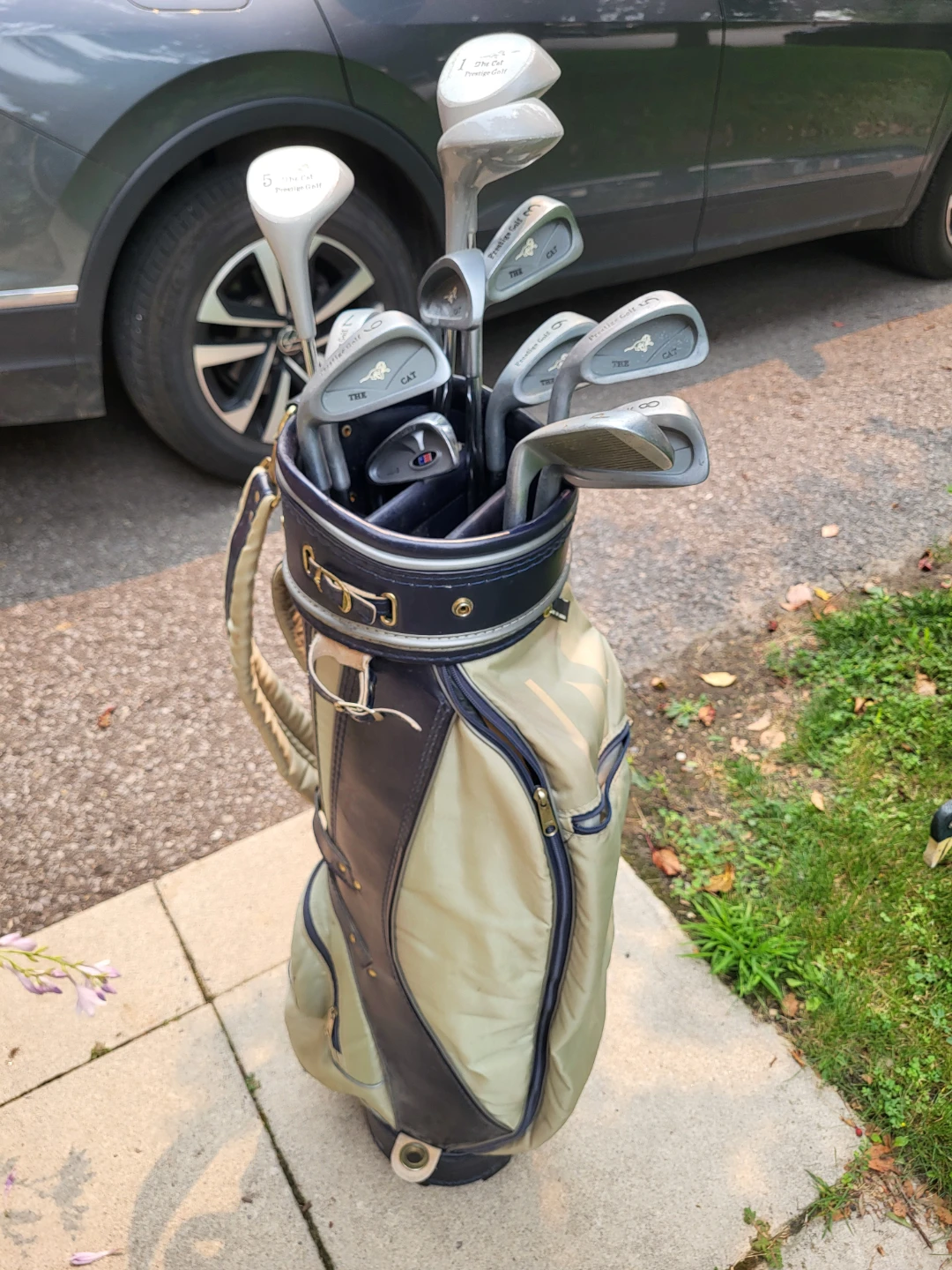 Ladies Cat Prestige Left Golf Club Set with Bag - photo 4