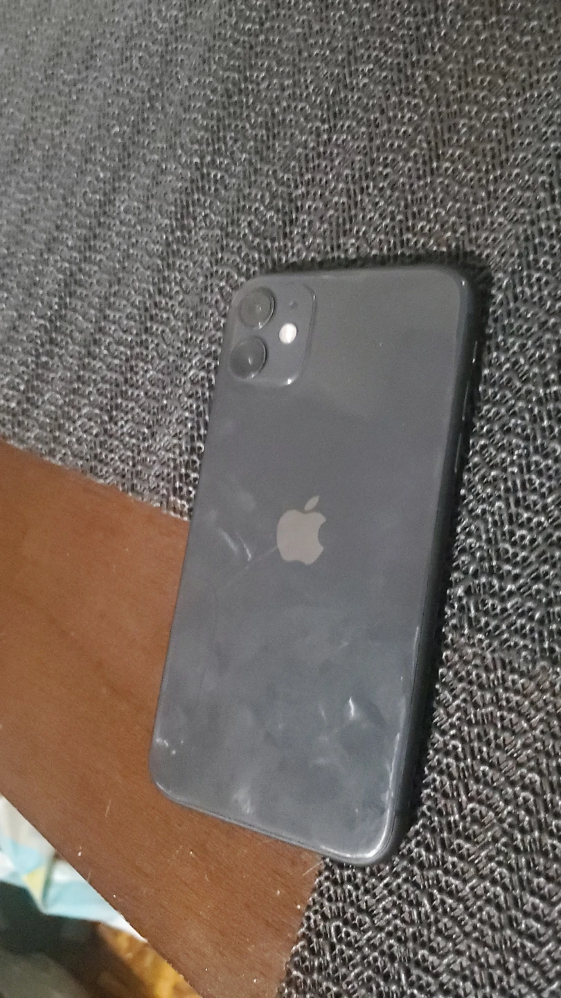 iPhone 11 water damaged wont turn on