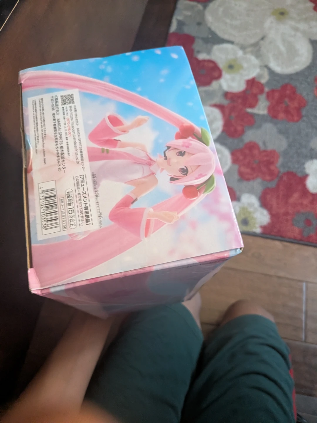 Hatsune Miky - photo 2