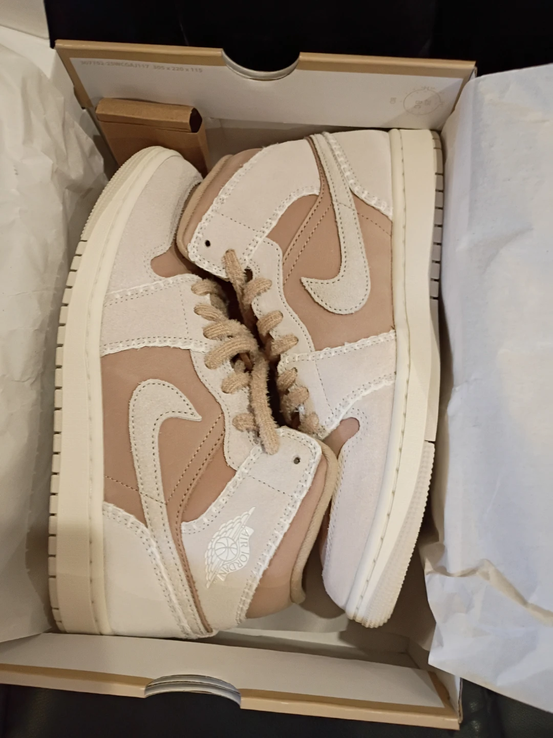 Air Jordan 1 Mid SE Shoes