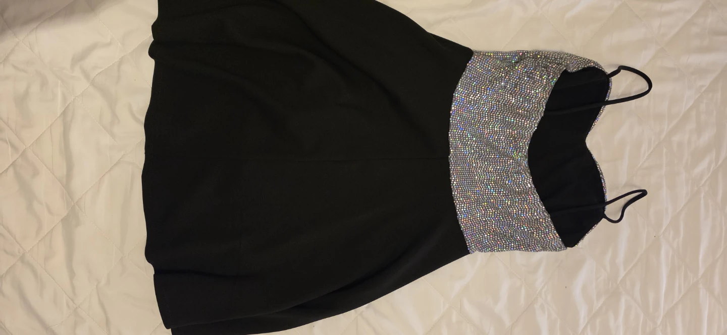Sparkly  Dress