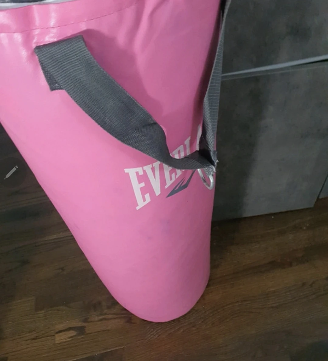 Everlast Pink Punching Bag