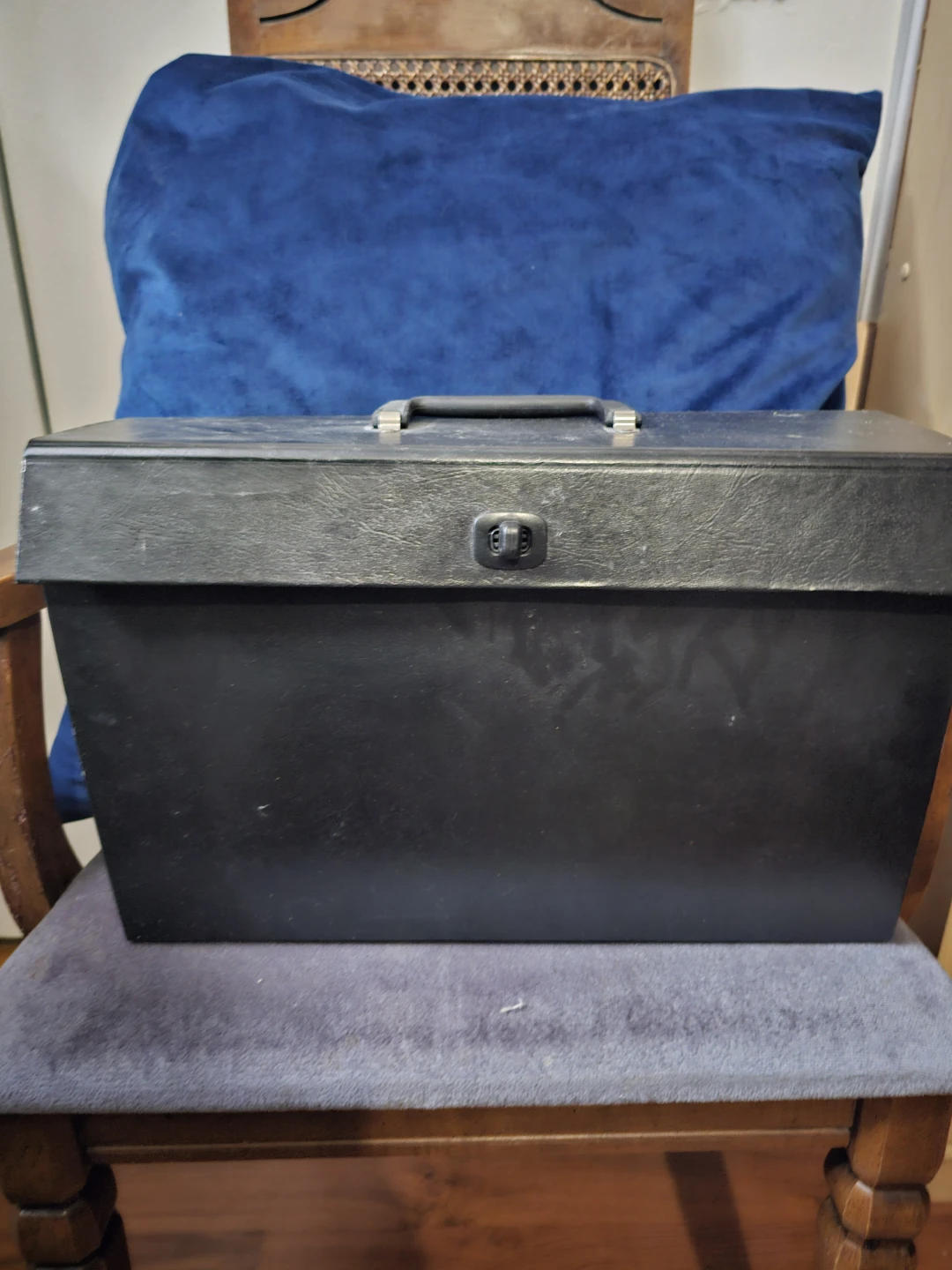 Accordion File Organizer Case