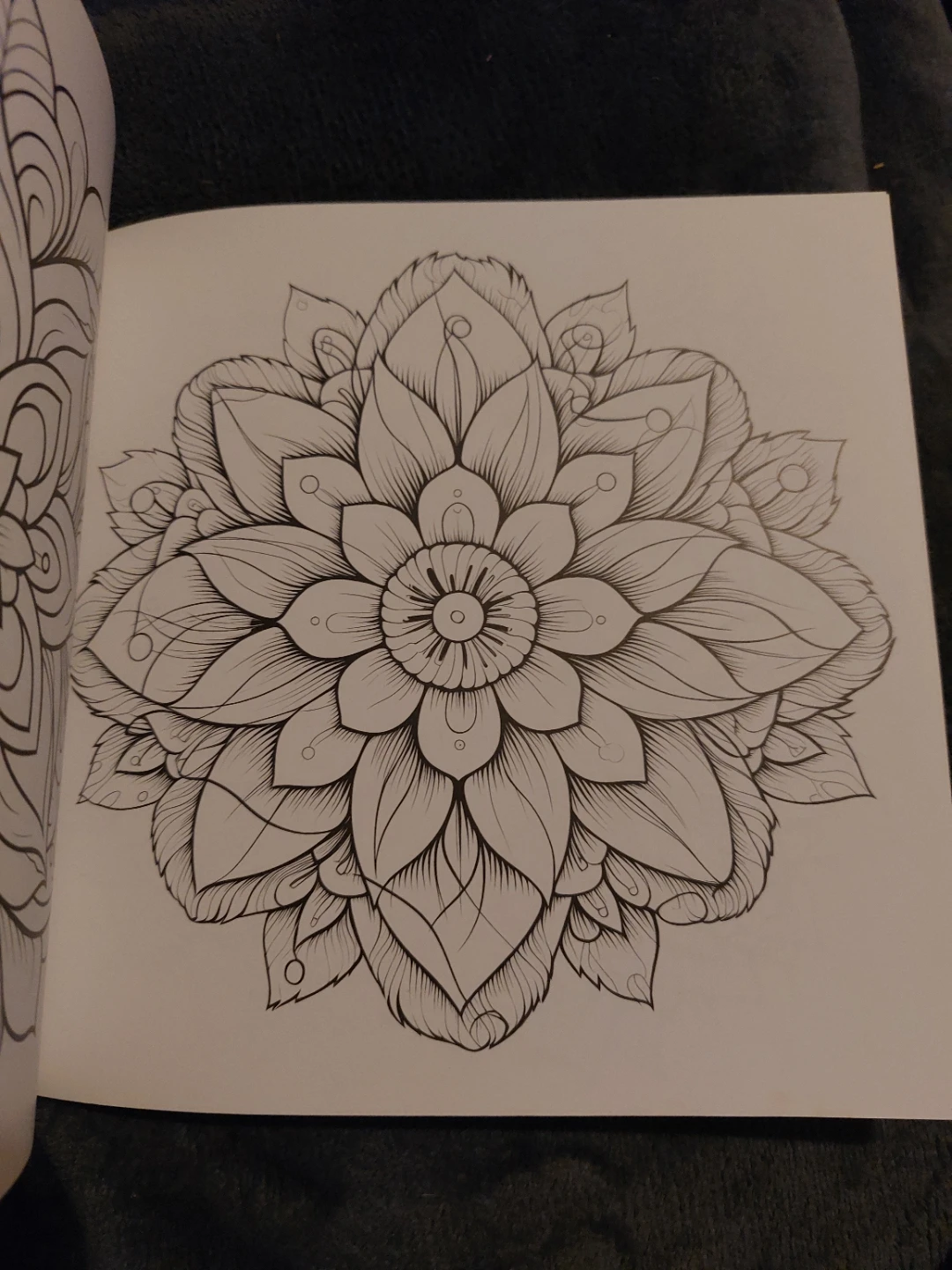Mindful Mandala Adult Coloring Book - photo 3