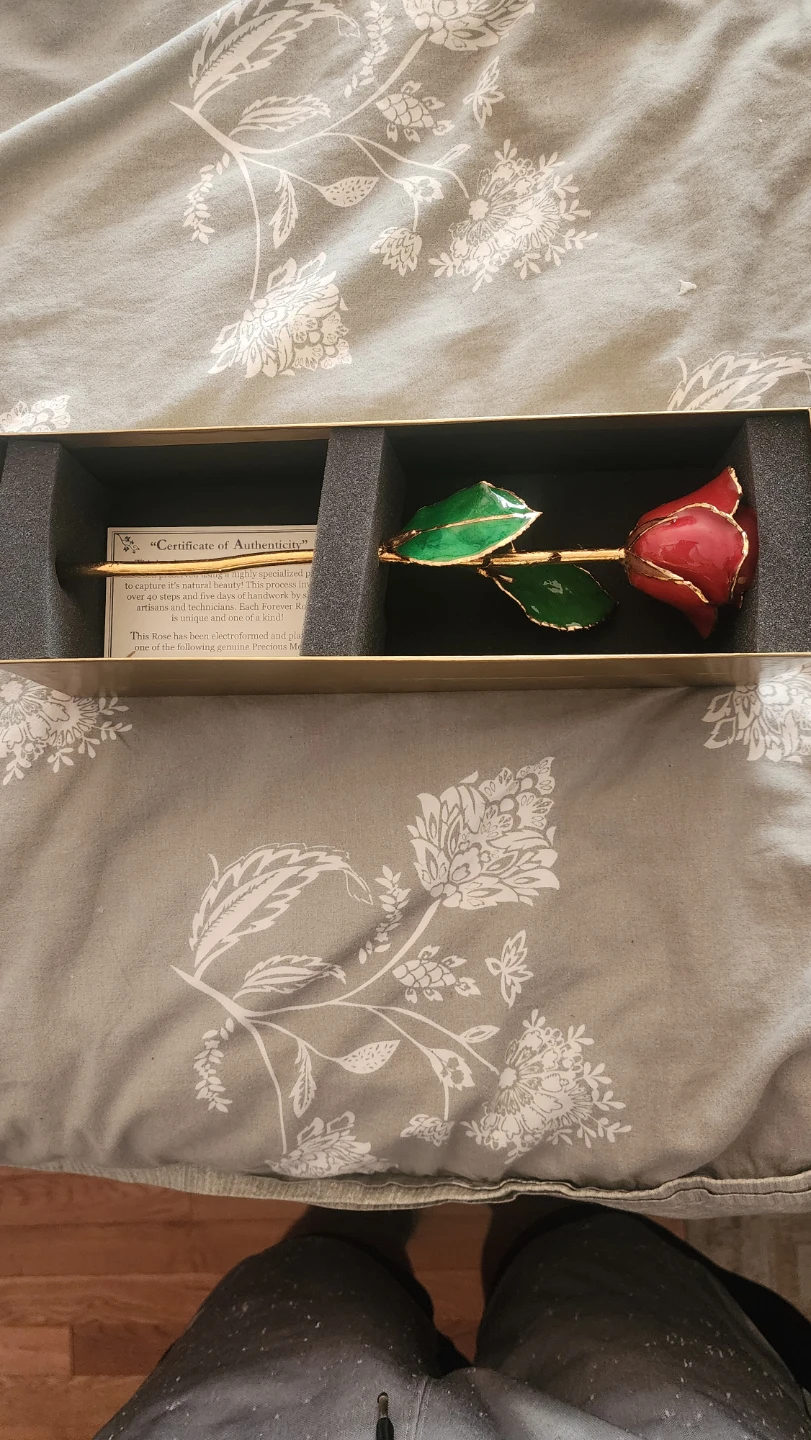 The Forever Rose - Gold Trimmed Red Rose with Certificate