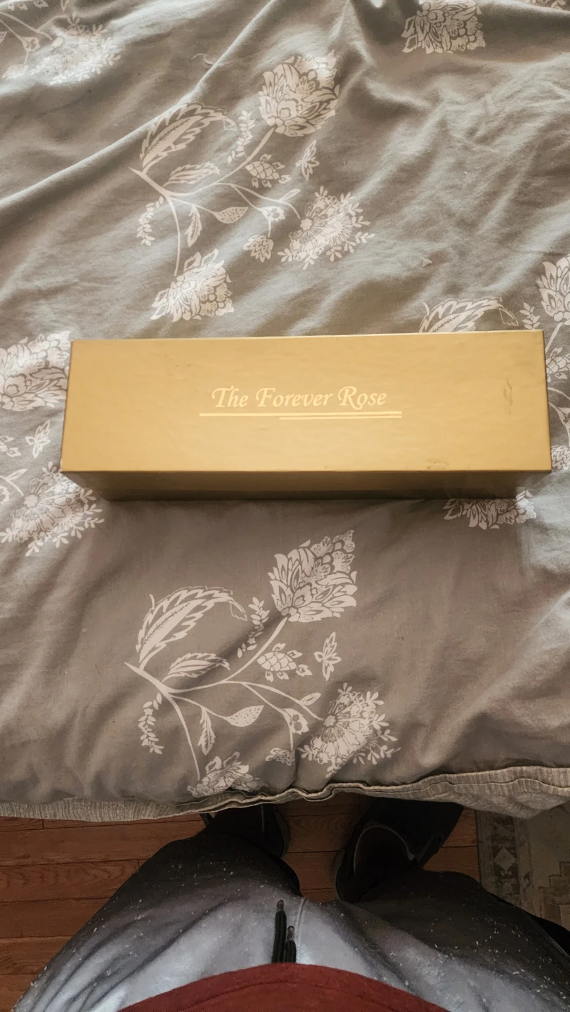 The Forever Rose - Gold Trimmed Red Rose with Certificate - photo 2