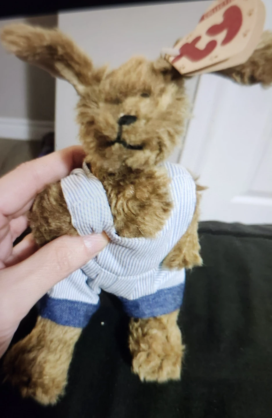 $5 ty plush