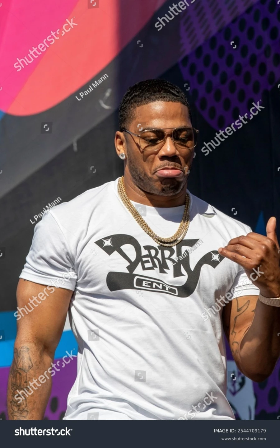 NELLY Tickets (2) for july 25 Brookfield zoo - photo 2