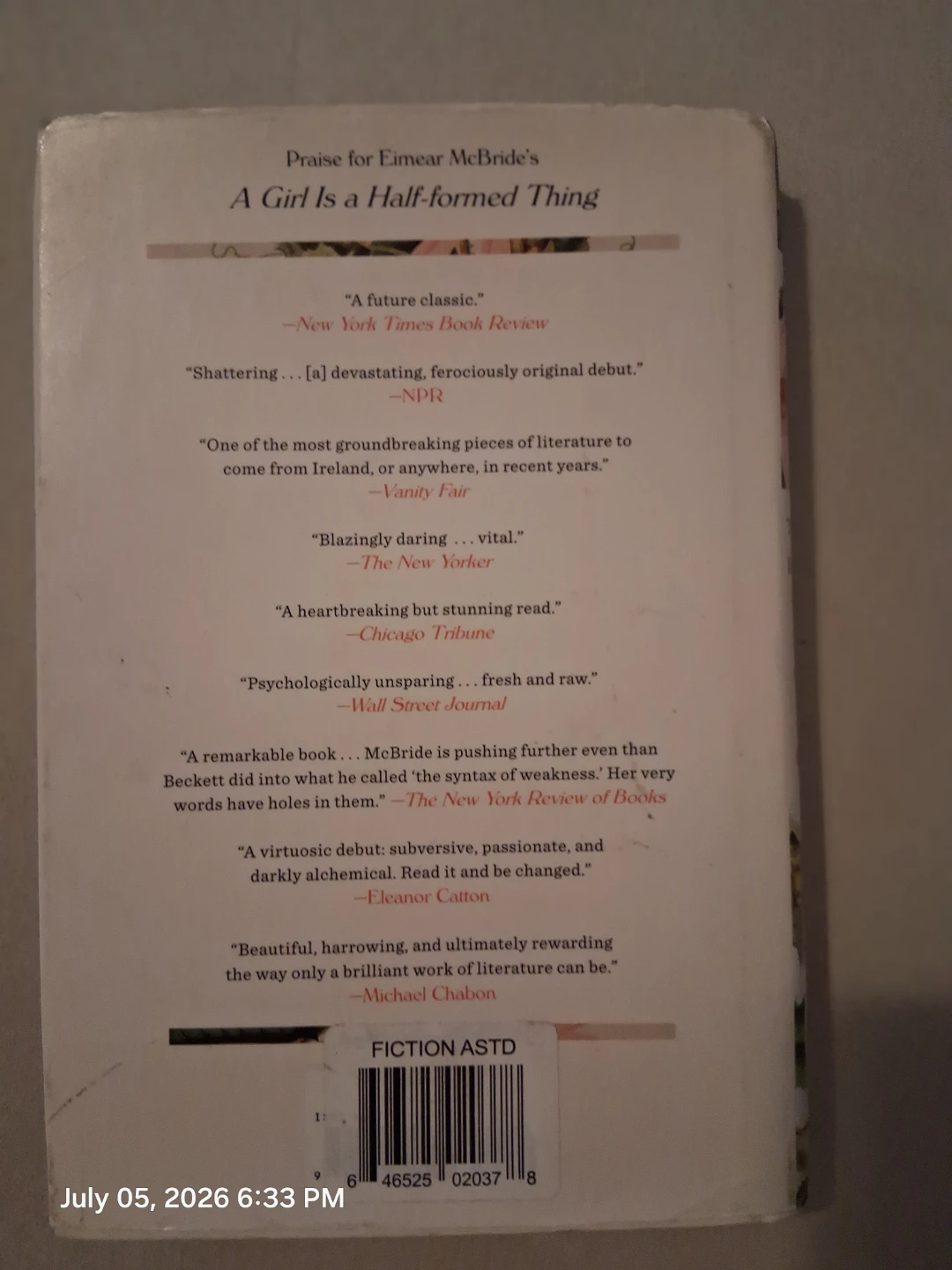 The Lesser Bohemians by Eimear McBride - photo 2