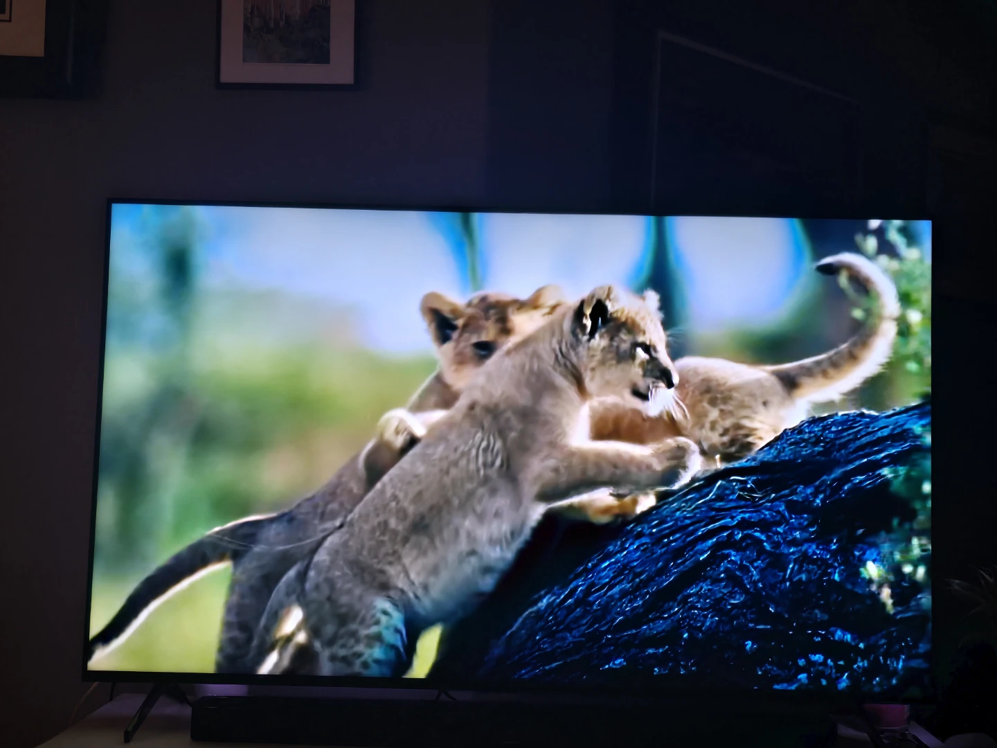 Sony 65 XR 90J and a Bose 900 smartbar - photo 4