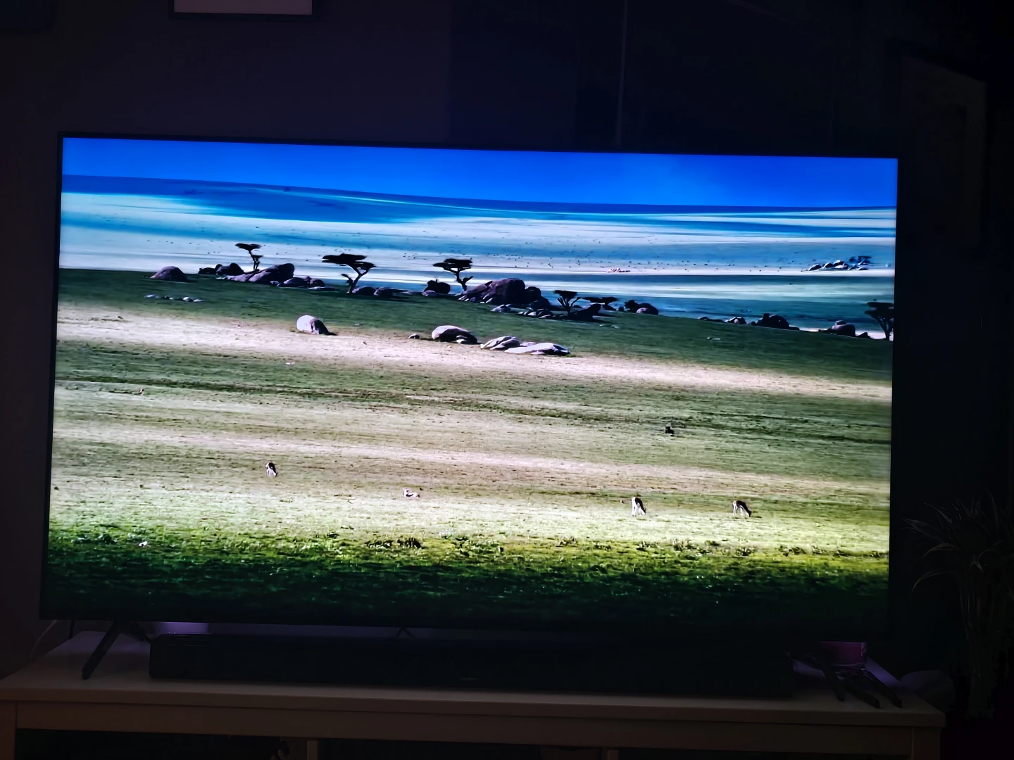 Sony 65 XR 90J and a Bose 900 smartbar - photo 5