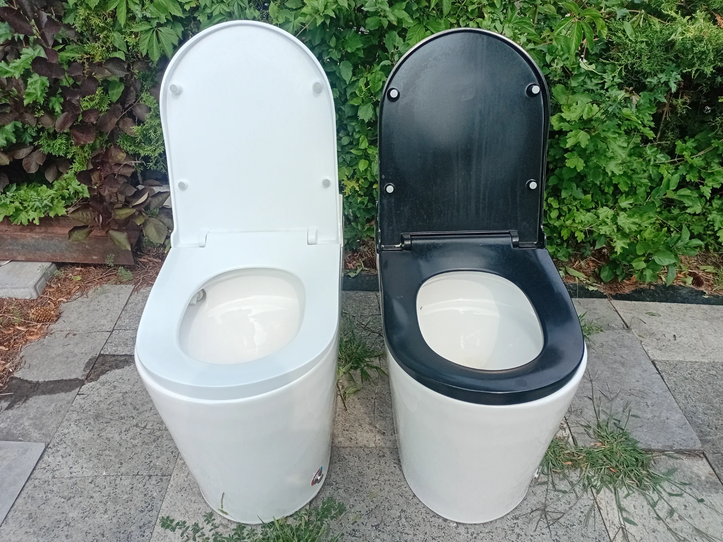 Toilet Seats - White and Black