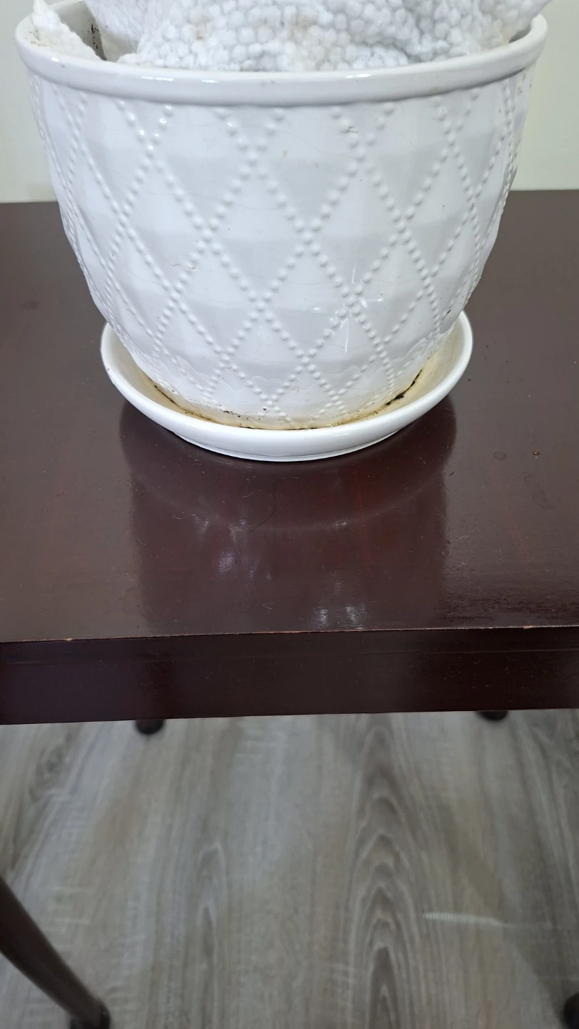 White Textured Ceramic Planter with Saucer