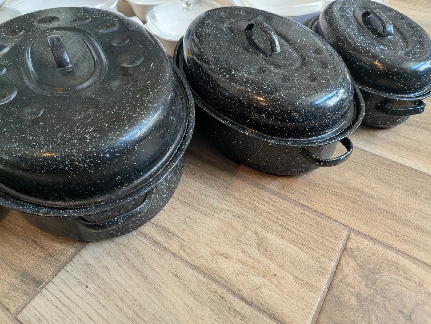 Set of 3 Roasting Pans
