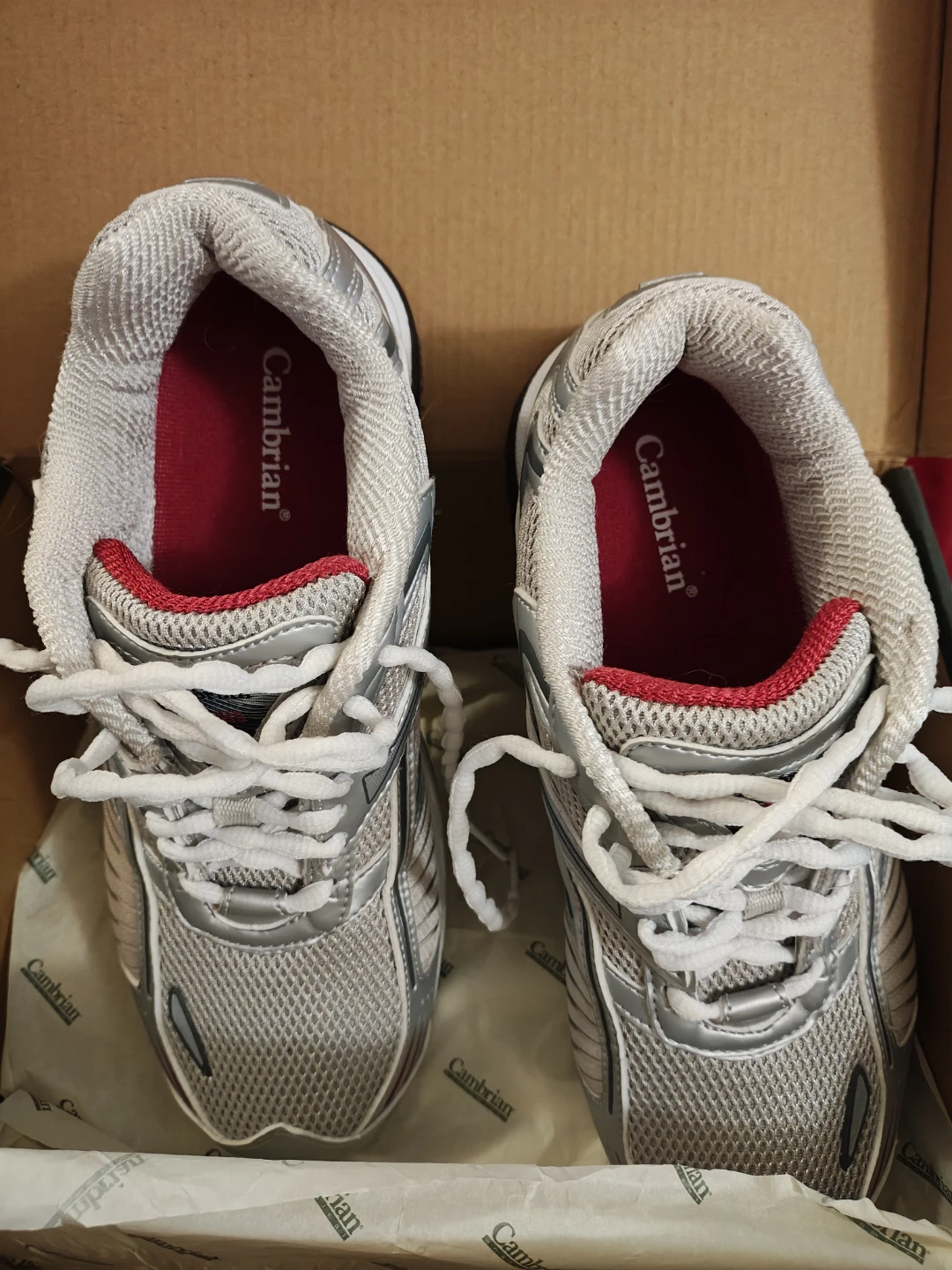 Cambrian Genesis Women's Silver Raspberry Shoes